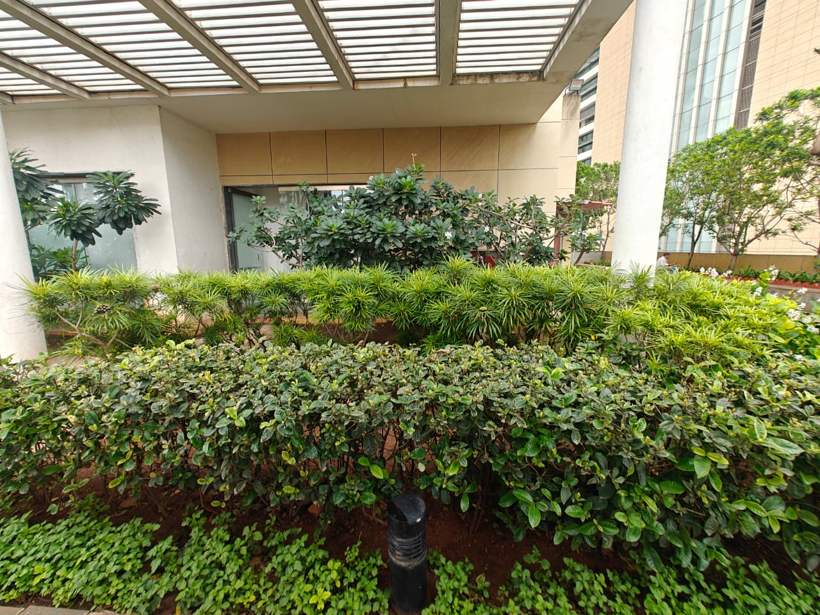 Hedge maintenance