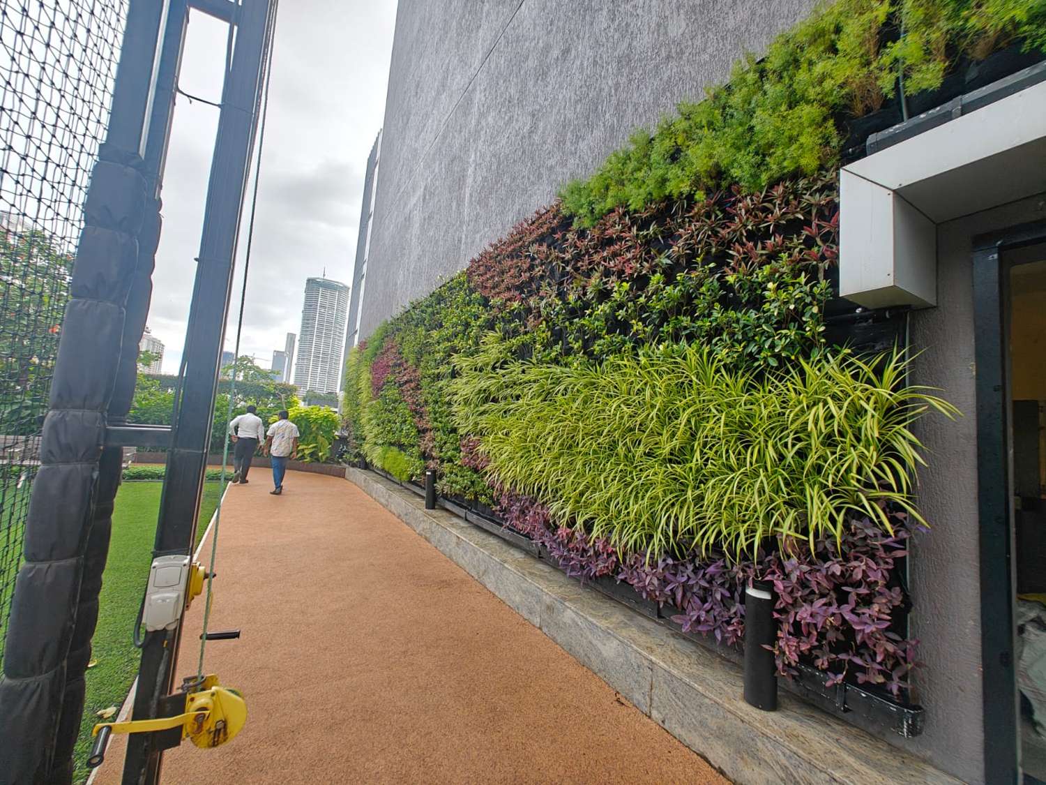 Living green wall along a terrace walkway
